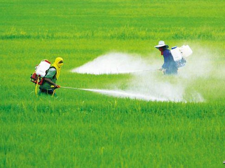 Trichloride Disinfectant
